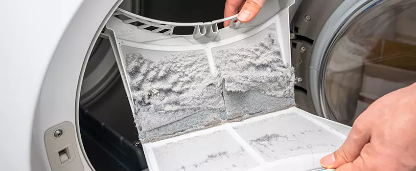 Best Dryer Lint Removal Company in Roselle, Illinois