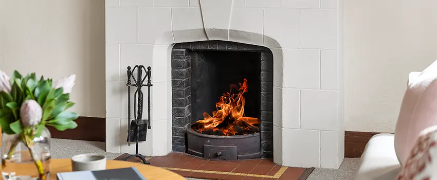 Valor Fireplaces and Stove Repair in Roselle, IL
