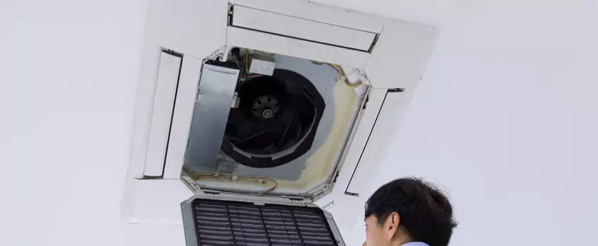 Benefits of Professional Air Duct Cleaning in Roselle, Illinois