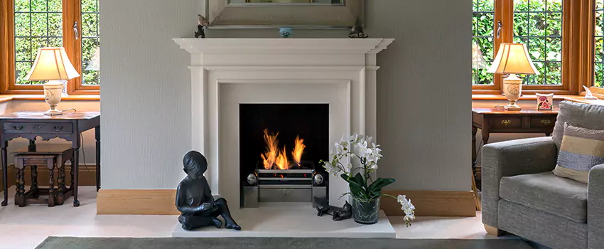 Astria Open-Hearth Wood Fireplaces Services in Roselle, IL