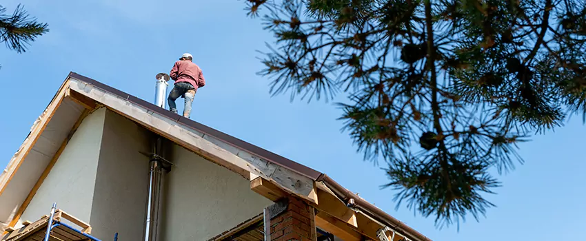Birds Removal Contractors from Chimney in Roselle, IL