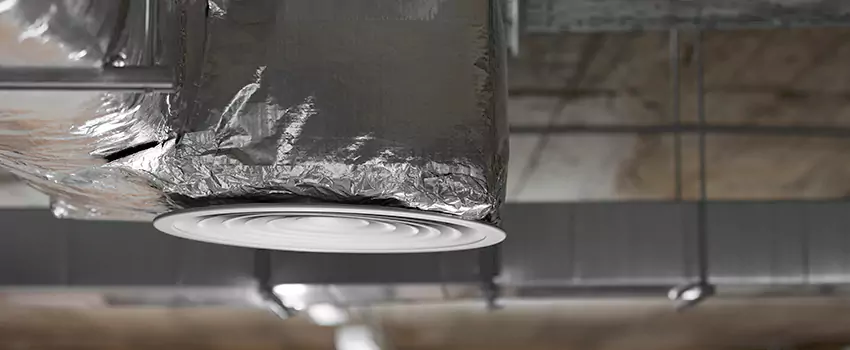 Signs of Dust Accumulation in Vents in Roselle, IL